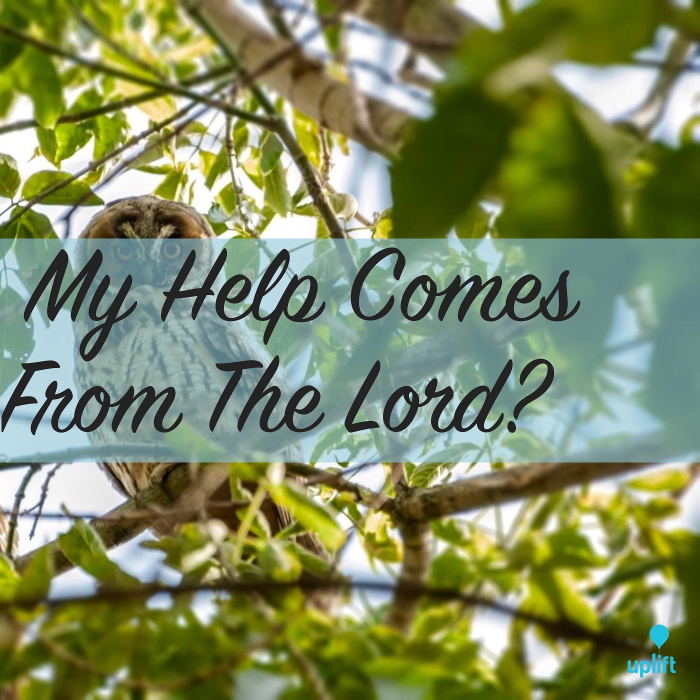 Episode 17: My Help Comes From The Lord?