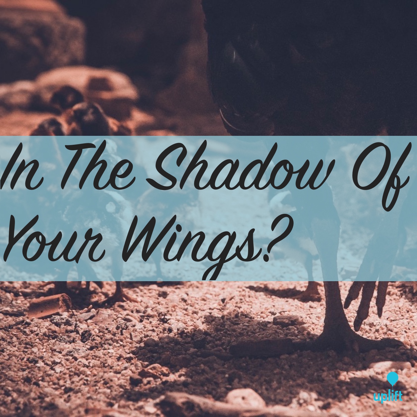Episode 31: In The Shadow Of Your Wings?