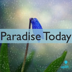 Episode 74: Paradise Today