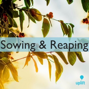 Episode 81: Sowing & Reaping