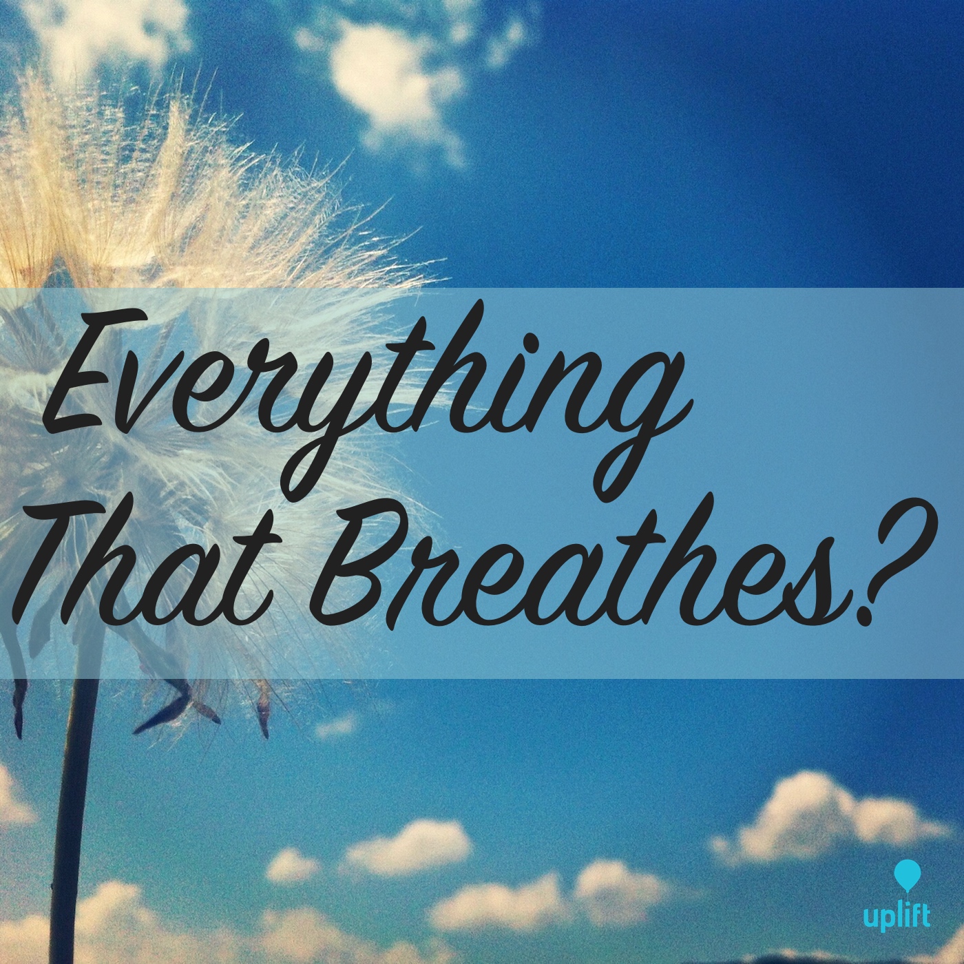 Episode 8: Everything That Breathes?