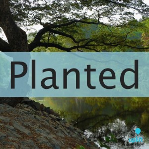 Episode 94: Planted