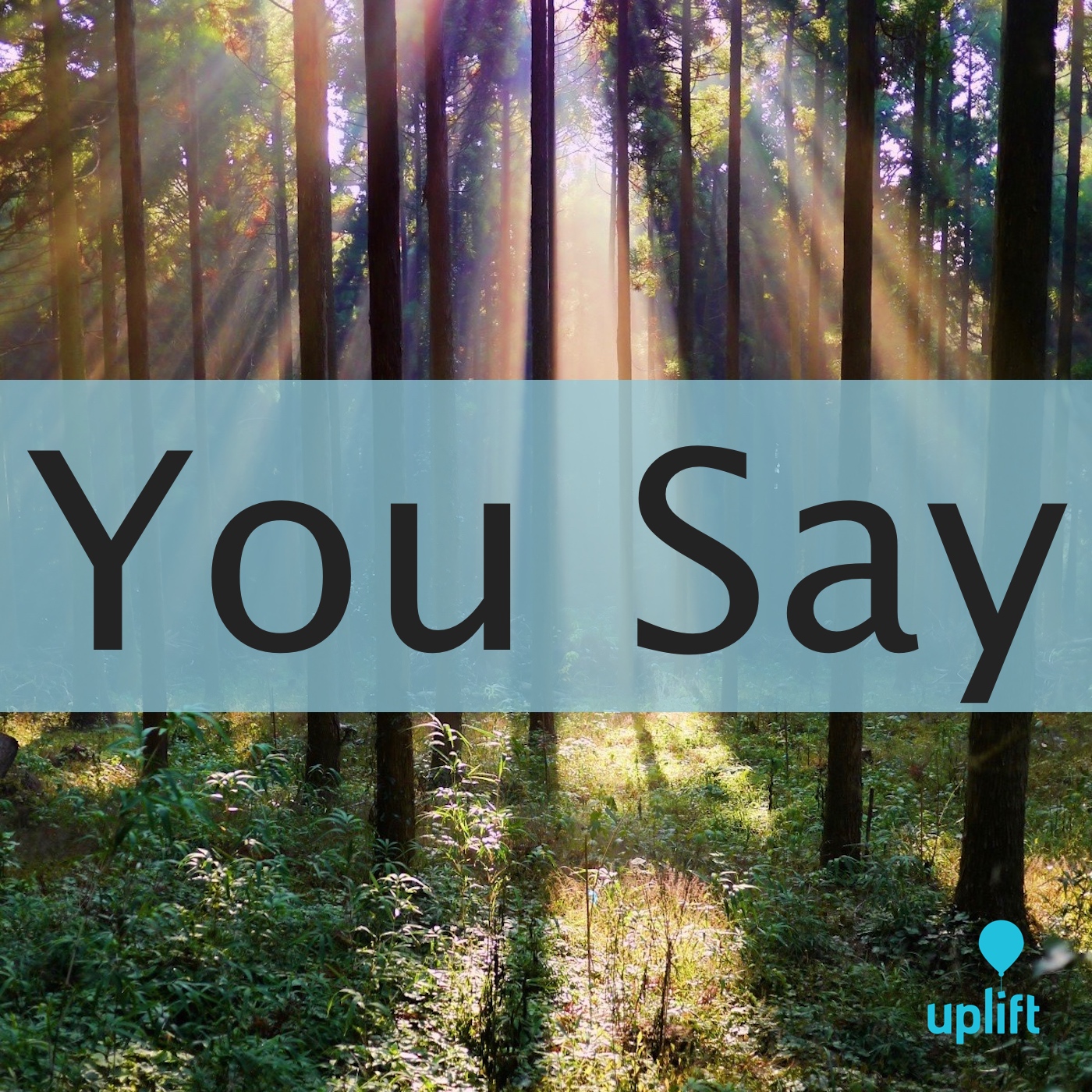 Episode 99: You Say