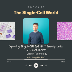 Ep.37: Exploring Single-Cell Spatial Transcriptomics with MERSCOPE®, Vizgen Technology