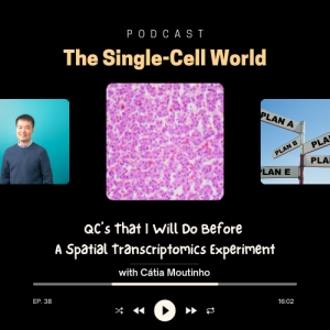 Ep 38: QC’s that I Will Do Before A Spatial Transcriptomics Experiment