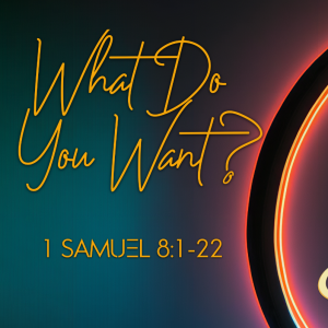 Seek, What Do You Want? Jun 16, 2024
