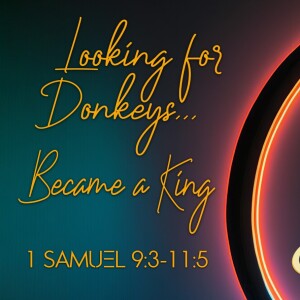 Seek, Looking for Donkeys... Became a King. Jun 23, 2024