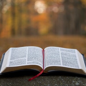 Episode 79: Marks of a Healthy Church (Expository Preaching)