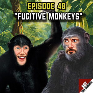 Episode 48: "Fugitive Monkey"