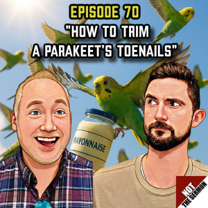 Episode 70: "How to Trim a Parakeet's Toenails"