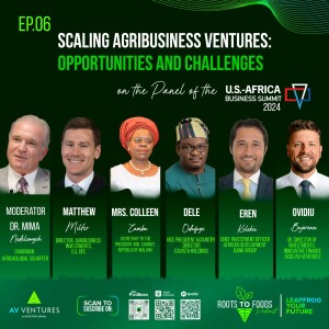 Scaling Agribusiness Ventures: Opportunities  And Challenges In Taking African Agriculture To The  Next Level