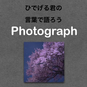 第68回 【静岡県】 夜な夜な楽しむ桜の写真の話
