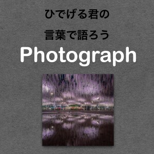第75回【栃木県】 思わず息を飲んだ雨の中の絶景を切り撮った写真の話