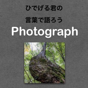 第79回【鹿児島県】緑の潤う島で切り撮った写真の話