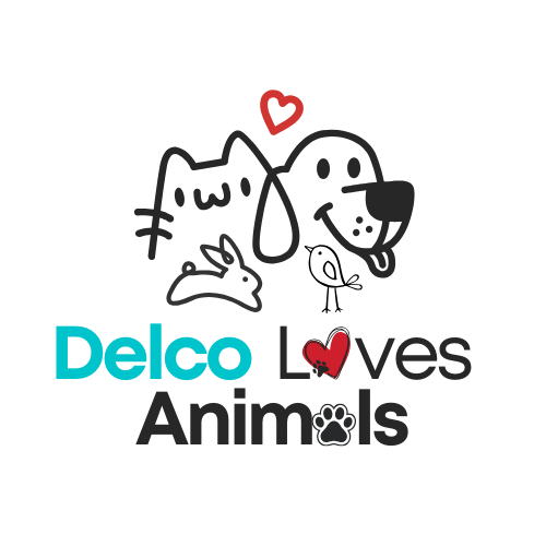 Introducing Delco Loves Animals!