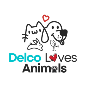 Introducing Delco Loves Animals!
