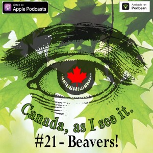 #21 - Beavers!