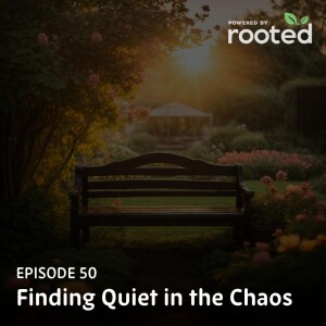Episode 50: Finding Quiet in the Chaos