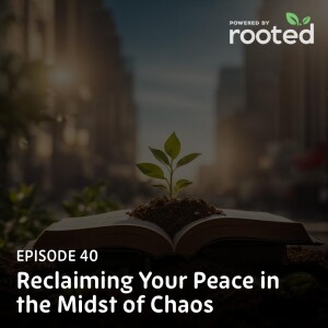 Episode 40: Reclaiming Your Peace in the Midst of Chaos