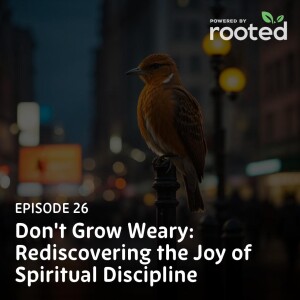 Episode 26: Don’t Grow Weary: Rediscovering the Joy of Spiritual Discipline
