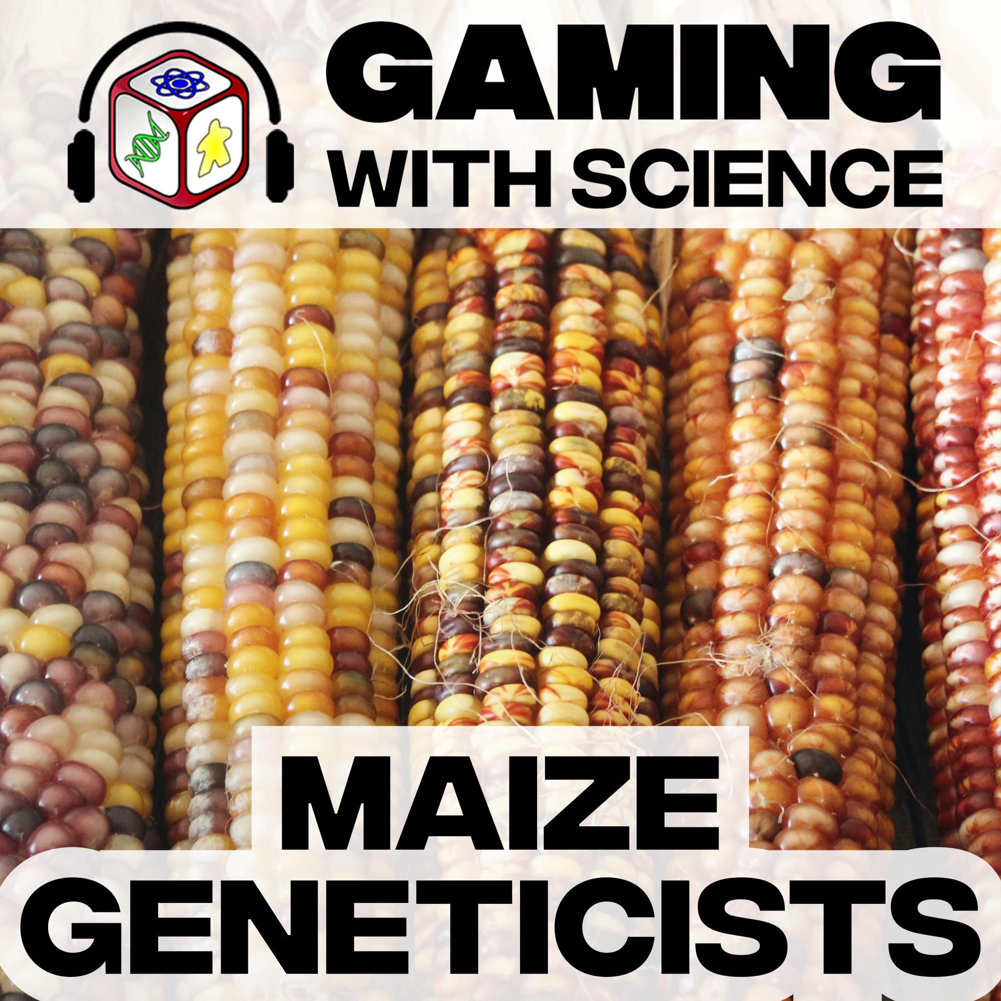 Gaming with Science