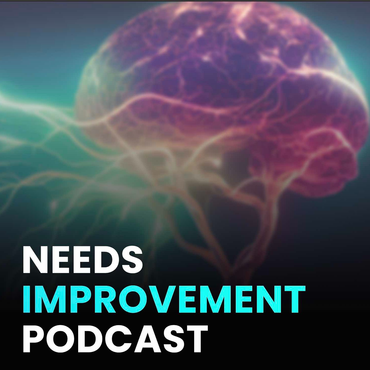 The Needs Improvement Podcast