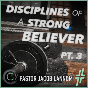 Disciplines of a Victorious Believer Pt. 3: Perservering Fellowship