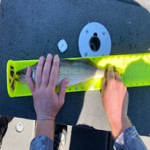 The Next Level...Fishing Decisions