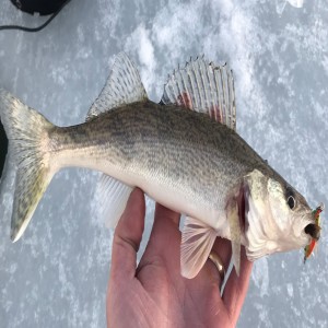 Next Level Early Season Ice