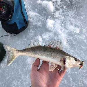 More All Eyes Ice Fishing