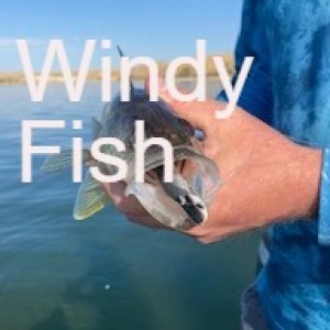 Windy Fish