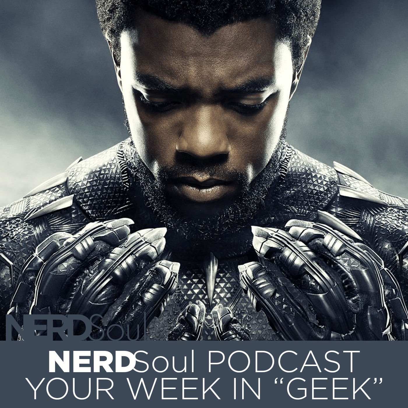Marvel Studios Black Panther Rise Trailer Reaction, Black Mirror Season 4, Oats Studios, Sanford Greene's 1000 & More! | NERDSoul • Your Week in Geek
