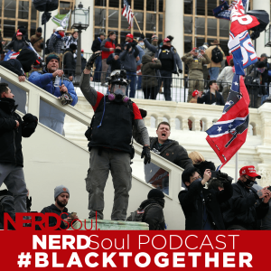 Privilege and Treason: America in Black & White #BlackTogether: A Walk In Her Shoes | NERDSoul