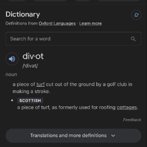 Define Divot