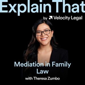 3B - The Dynamics of Private Family Law Mediations