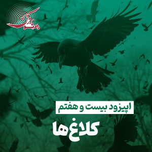 کلاغ ها