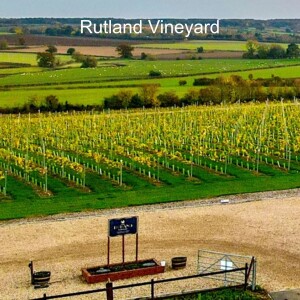 The Rutland Vineyard