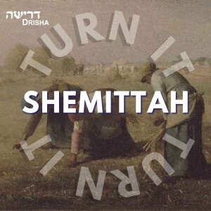 The End of Shemittah: Community Conversation hosted by Michael Fraade