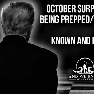 10.1.24: October Surprise, Blitzkrieg, Trump supports victims, Assange speaks, Lithium+NC?, HUNT is on. PRAY!