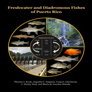 Book preview - Fishes of Puerto Rico