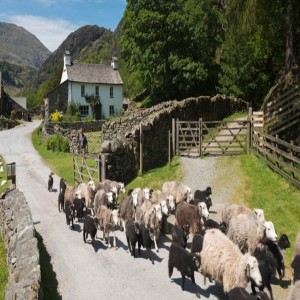 Hill Top Farm visualization - Beatrix Potter