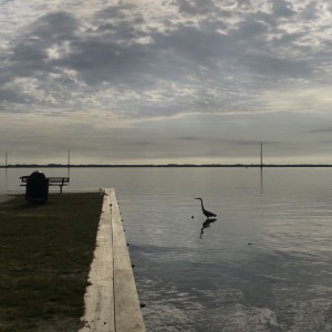 boat dock visualization round