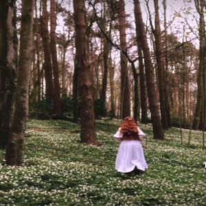 being a fairy 🧚 visualization
