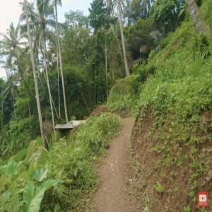 Bali Visulization Round