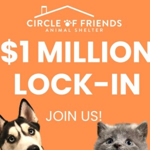 Mixed Culture Episode 3: Circle of Friends Animal Shelter Lock-Down