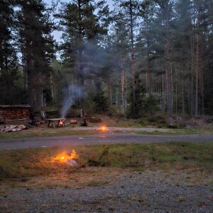 Overnattingstur alene i skogen