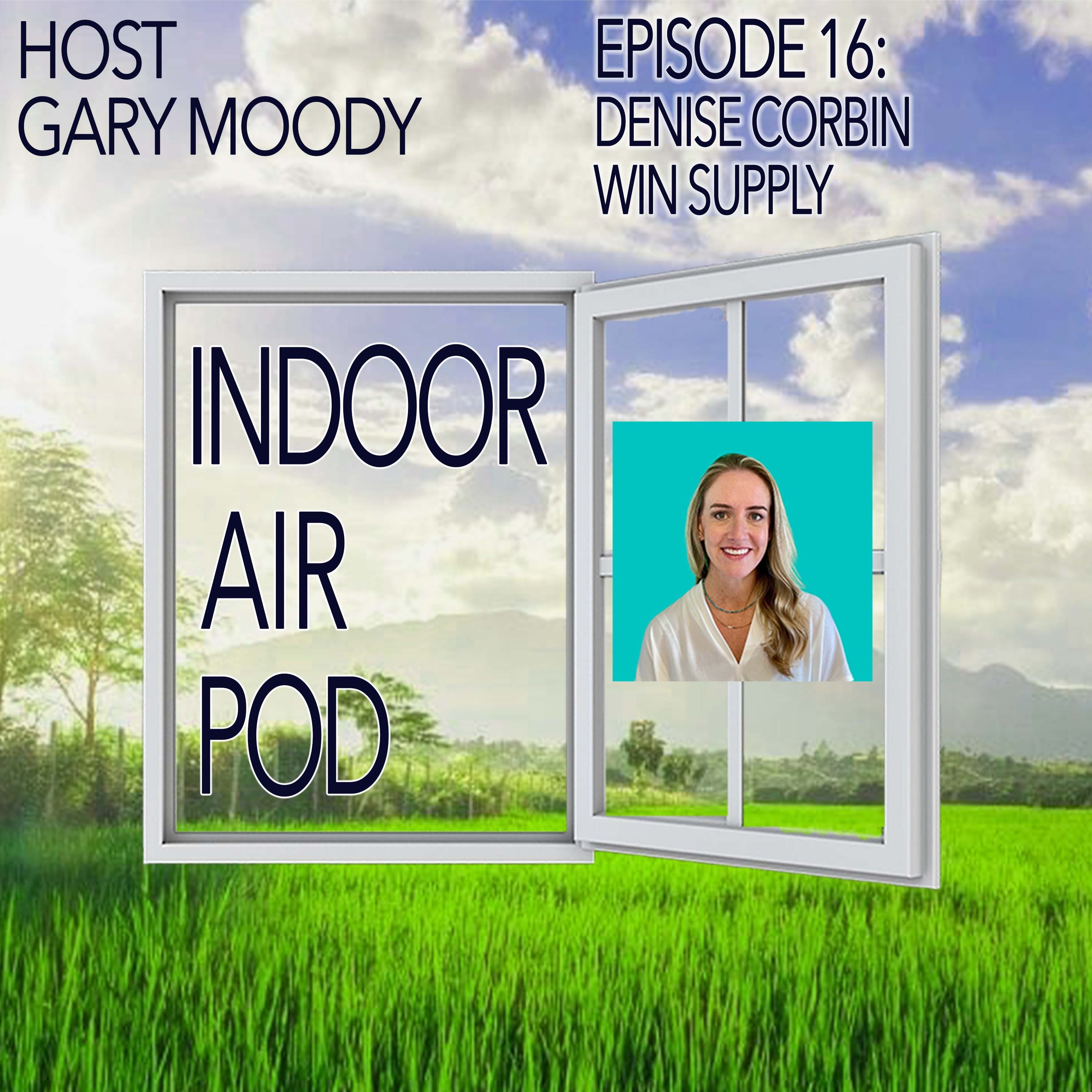 Indoor Air Pod