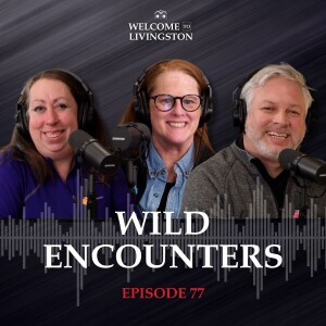 Episode 77: Wild Encounters