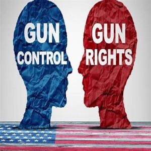 Gun Control E2- 2nd Amendment