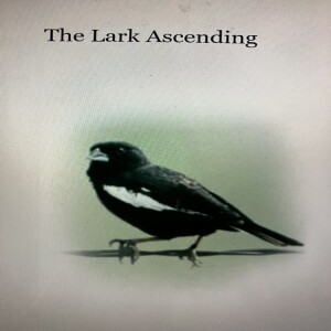 The Lark Ascending by George Meredith